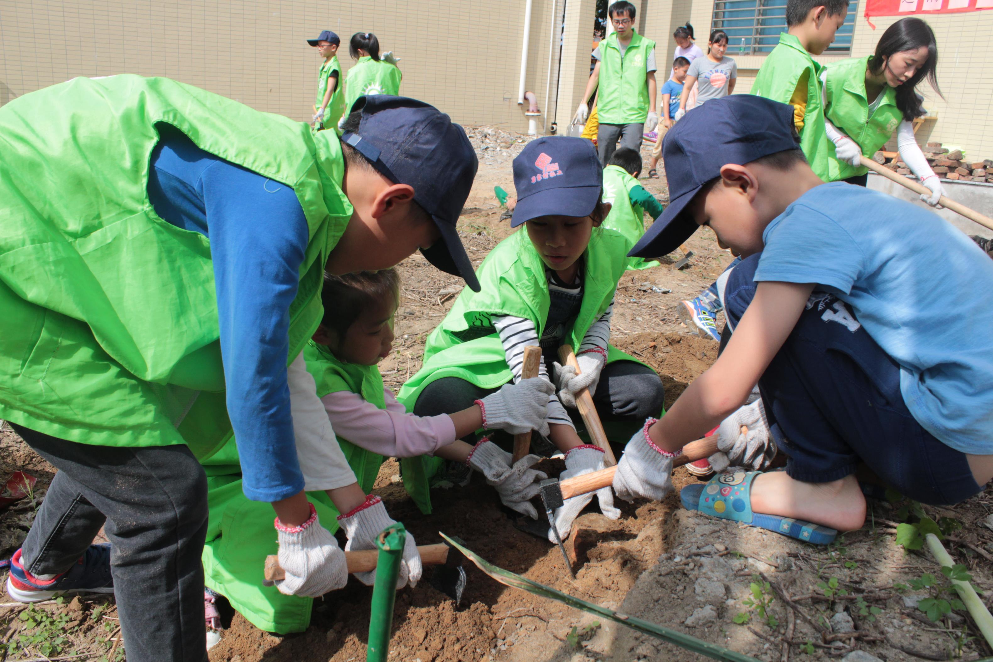 石碣：（梁家村）清理田地我最强，田地整洁人人赞