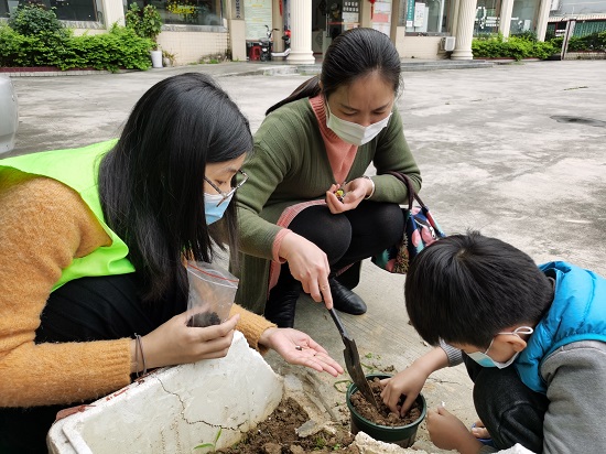 石碣：四甲村“植物大战病毒”园艺治疗小组