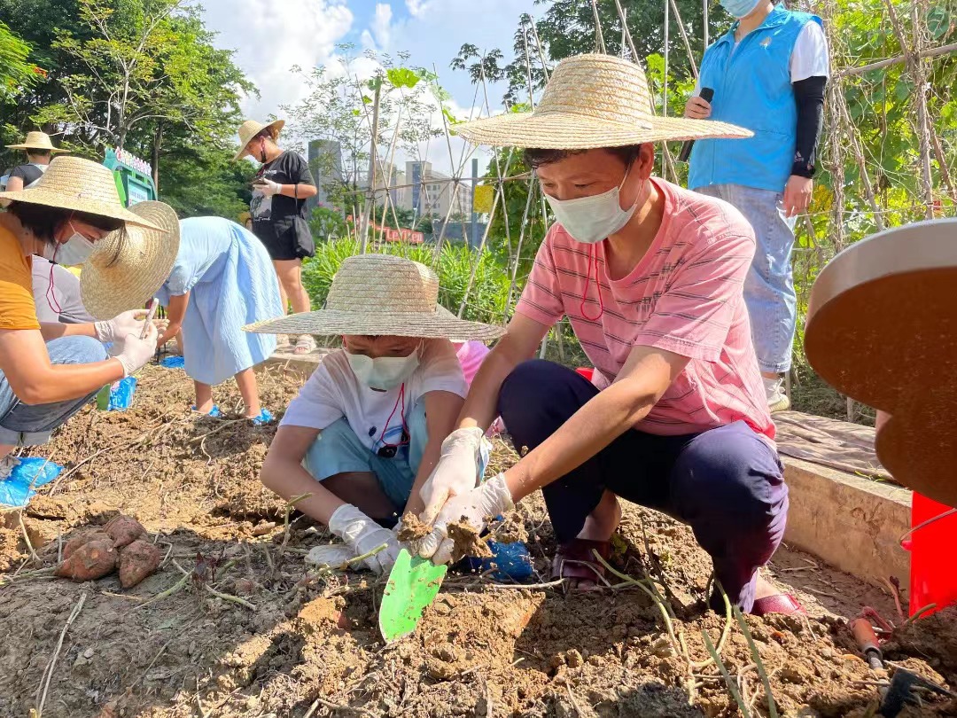 望牛墩：乡村振兴让家庭农场焕发新活力 亲子休闲好去处